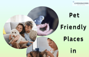 Pet-Friendly Places 2024 Pet-Friendly Places in Dubai
