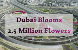 Dubai Blooms with 2.5 Million Flowers Dubai Blooms