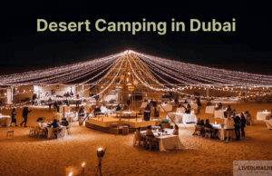 Desert Camping in Dubai Desert Camping in Dubai