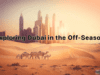 Dubai in the Off-Season Dubai in the Off-Season