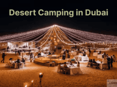 Revolution of Dubai Revolution of Dubai