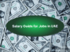 Salary Guide for Jobs in UAE